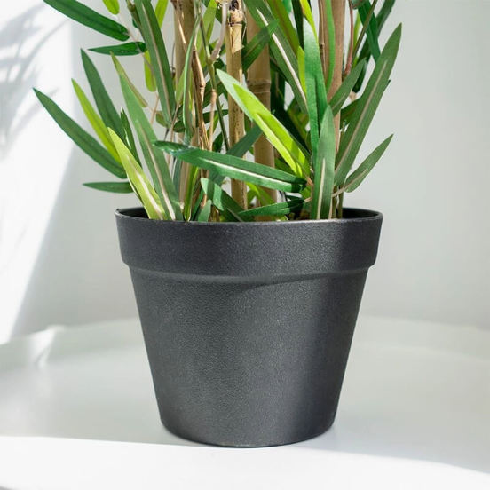 0607061914-6-aranzhirovka-rastenie-100sm-bambuk-v-plastmasova-saksija_552x552_pad_478b24840a