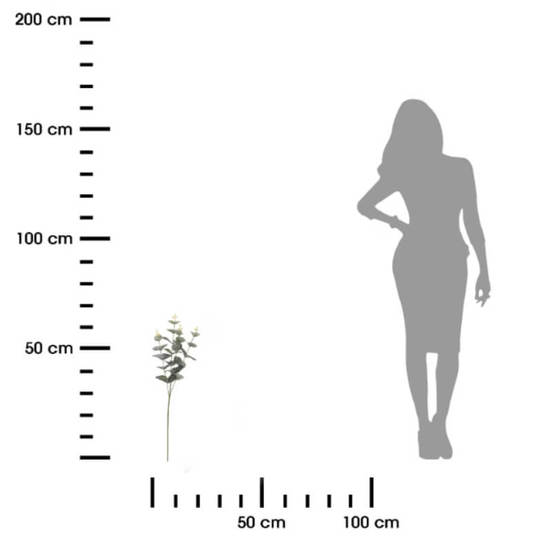 0607061923-1-aranzhirovka-klonka-70sm-evkalipt_552x552_pad_478b24840a