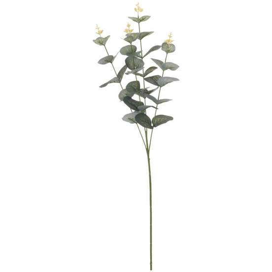 0607061923-2-aranzhirovka-klonka-70sm-evkalipt_552x552_pad_478b24840a