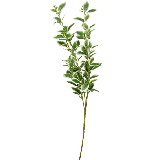 0607061930-1-aranzhirovka-klonka-87sm-zeleni-lista_552x552_pad_478b24840a