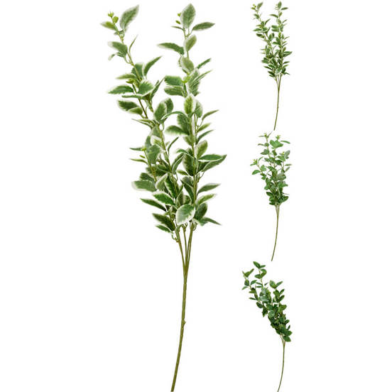 0607061930-2-aranzhirovka-klonka-87sm-zeleni-lista_552x552_pad_478b24840a