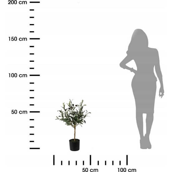 0607061932-1-aranzhirovka-rastenie-66sm-maslina_552x552_pad_478b24840a