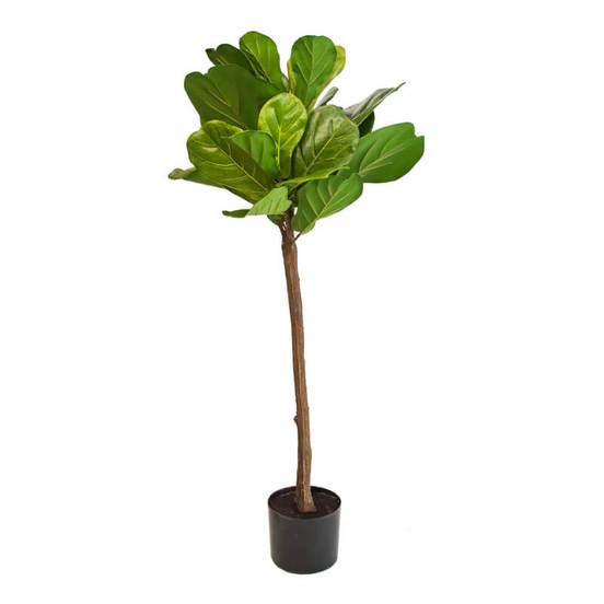 0607061189-1-aranzhirovka-dryvche-v-kashpa-125524_552x552_pad_478b24840a