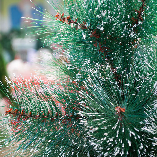 0607070383-1_552x552_pad_478b24840a