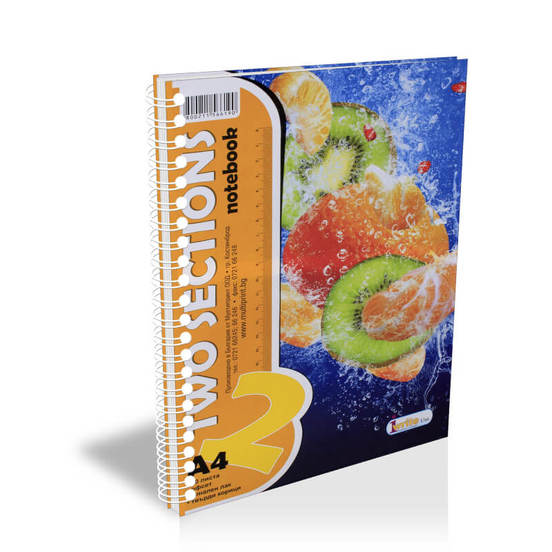 0608030004-1-tetradka-a4-80l-spirala-2-temi-tvyrda-korica-1570320100_552x552_pad_478b24840a