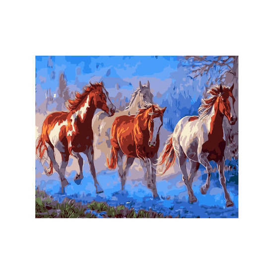 0608050143-1-kartina-za-risuvane-40h50sm-po-nomera-galop-6605320047_552x552_pad_478b24840a