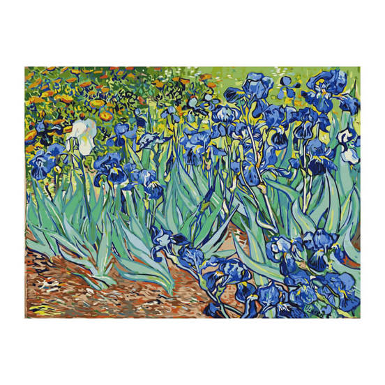 0608050146-1-kartina-za-risuvane-40h50sm-po-nomera-irisi-6605320053_552x552_pad_478b24840a