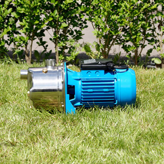 0804010266-4-pompa-samozasmukvashta-jet-s100-750-w-3-0kub-m-745m-1-gmax_552x552_pad_478b24840a