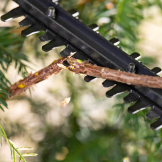 0804020311-3-hrastorez-18-v-easy-hedge-cut-18-52-13-520mm15mm-stypkabez-baterija-bosch_552x552_pad_478b24840a