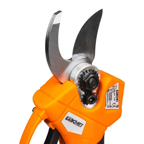 0804030122-4-rezachka-i-lozarska-nozhica-akumulatorni-2x2-ah-k-xgpps25-baukraft_552x552_pad_478b24840a