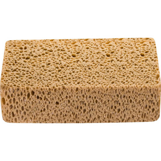 0806150412-1-gyba-za-fugirane-goljama-23h12h7sm-kafjava-2024-132312-hardy-webp-webp_552x552_pad_478b24840a