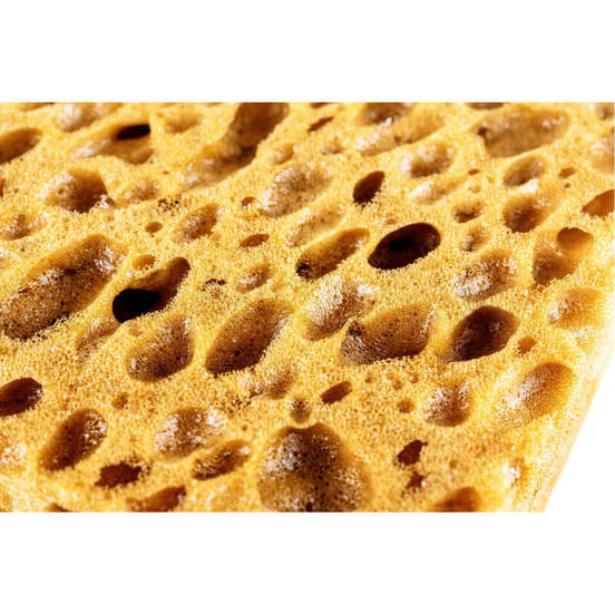 0806150412-2-gyba-za-fugirane-goljama-23h12h7sm-kafjava-2024-132312-hardy-webp-webp_552x552_pad_478b24840a