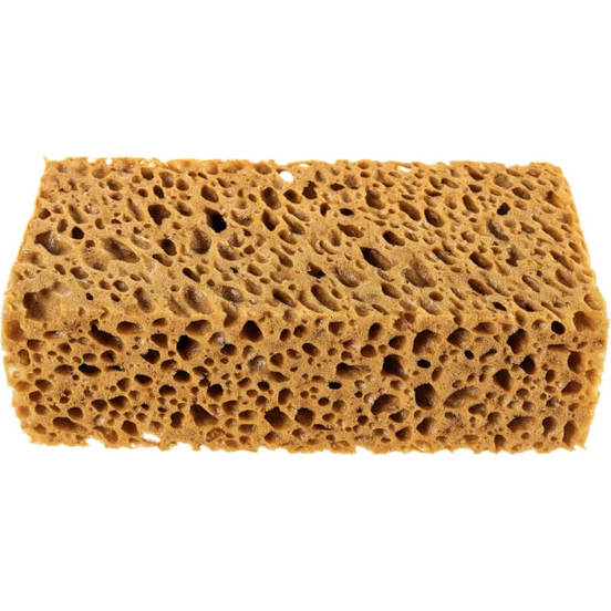 0806150412-gyba-za-fugirane-goljama-23h12h7sm-kafjava-2024-132312-hardy-webp_552x552_pad_478b24840a