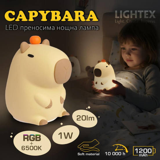 0901040394-2-lampa-noshtna-kapibara-1-w-rgb-w-6500-k-1200m-ah-usb-type-s-706-rl0341026-lightex_552x552_pad_478b24840a