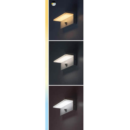 0902010319-6-gradinski-aplik-led-9-w-800lm-2700-4000-6500-k-ip54-zaragoza-cheren-rabalux_552x552_pad_478b24840a