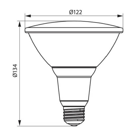 0906040266-1-led-lampa-15-w-e27-230-v-silver-par38-zelen-vivalux_552x552_pad_478b24840a