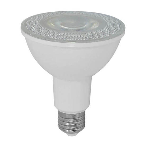 0906040428-led-lampa-12-w-e27-230-v-6400-k-blast-led-par30-25000h_552x552_pad_478b24840a
