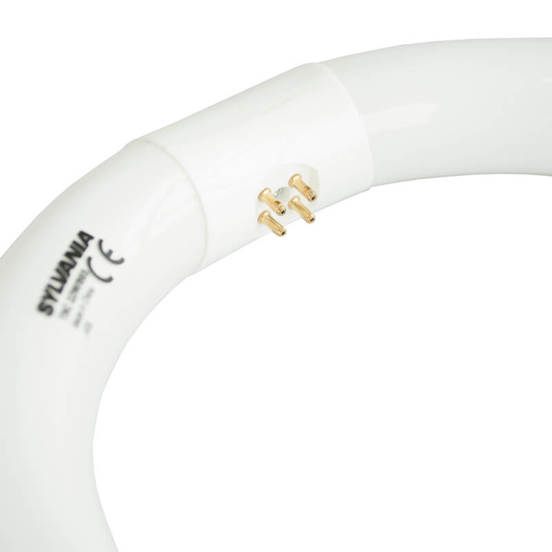 0906050032-1_552x552_pad_478b24840a