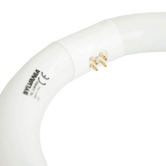 0906050033-34-1_552x552_pad_478b24840a