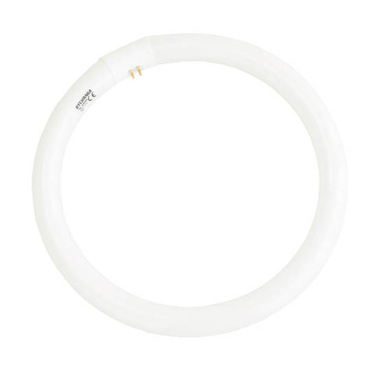 0906050033-34_552x552_pad_478b24840a