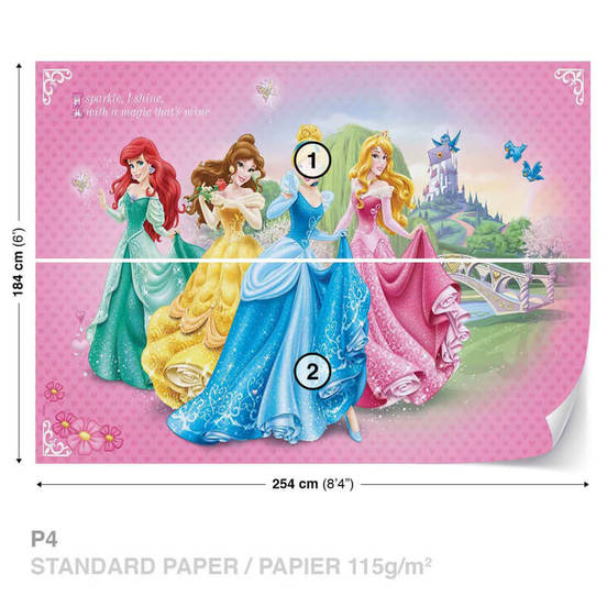 1006010584-4-fototapet-254-x-184sm-princesses-cinderella-belle_552x552_pad_478b24840a
