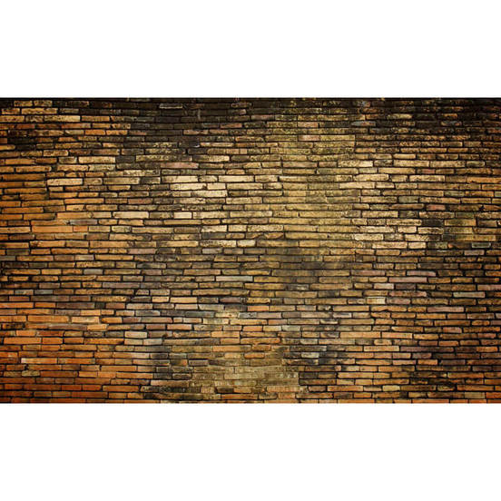 1006010602-fototapet-368-x-254sm-brick-wall-vintage-texture_552x552_pad_478b24840a