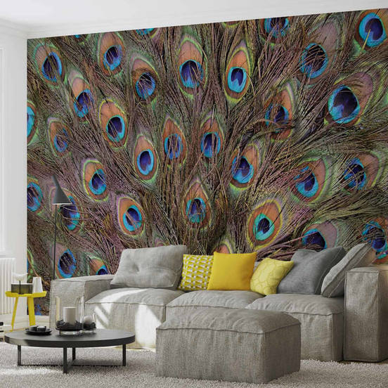 1006010619-1-fototapet-368-x-254sm-peacock-feathers_552x552_pad_478b24840a