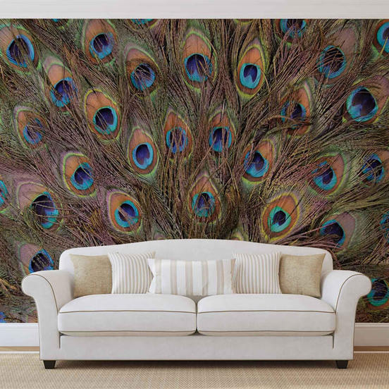 1006010619-2-fototapet-368-x-254sm-peacock-feathers_552x552_pad_478b24840a