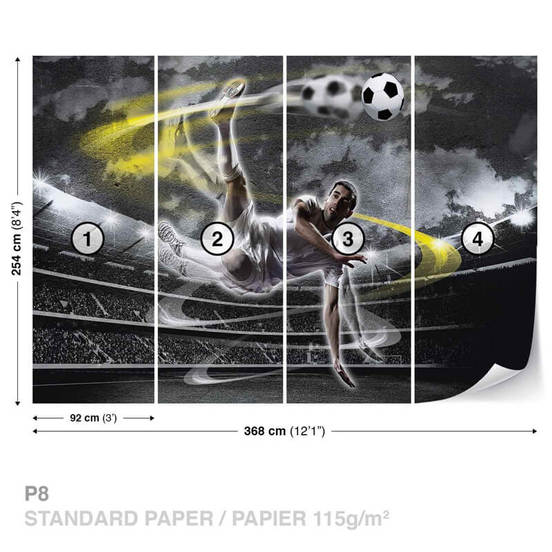 1006010628-2-fototapet-368-x-254sm-football_552x552_pad_478b24840a