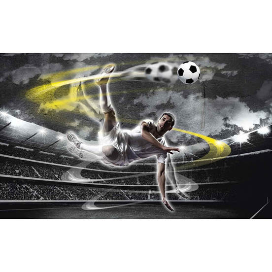 1006010628-fototapet-368-x-254sm-football_552x552_pad_478b24840a