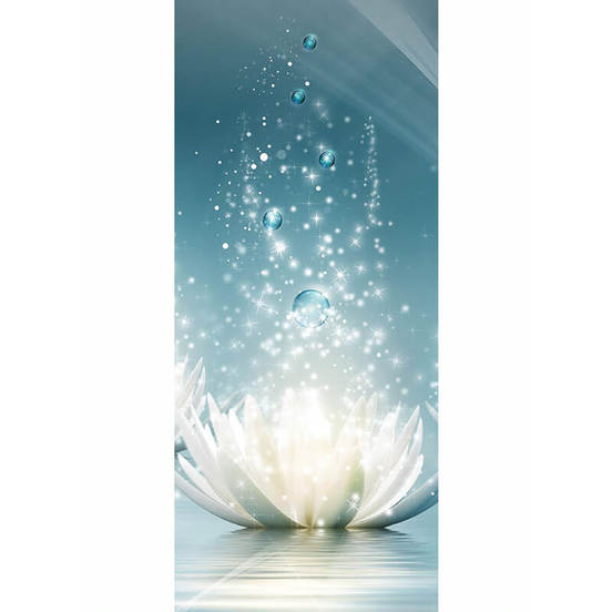 1006010886-3-d-fototapet-za-vrata-white-lotus-sparkles-spa-211-x-91sm_552x552_pad_478b24840a