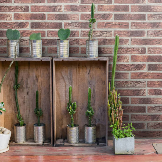 1006010977-3-tapet-bestselyr-5-cherveni-tuhli-sivo_552x552_pad_478b24840a