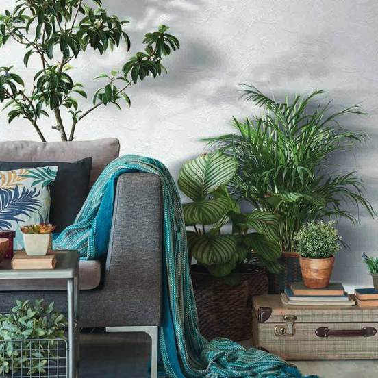 1006010979-2_552x552_pad_478b24840a