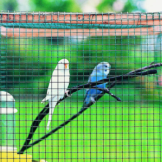 1104019906-2_552x552_pad_478b24840a