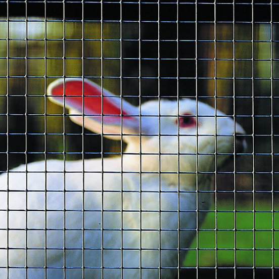 1104019906-3_552x552_pad_478b24840a