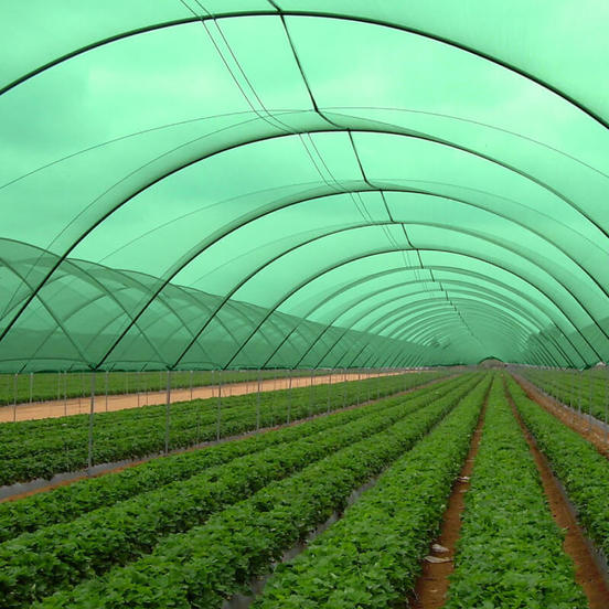 1104020050-ogradna-mrezha-zasenchvashta-70-2m-70gm2-1_552x552_pad_478b24840a