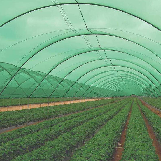 1104020279-ogradna-mrezha-zasenchvashta-45-2-0m-32gm2_552x552_pad_478b24840a