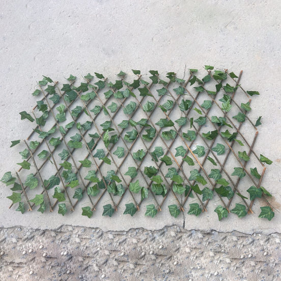 1104020311-1-raztegatelna-ograda-za-izkustveno-ozelenjavane-bryshljan-s-dyrven-plet-1-h-2-m_552x552_pad_478b24840a