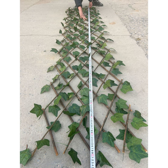 1104020311-2-raztegatelna-ograda-za-izkustveno-ozelenjavane-bryshljan-s-dyrven-plet-1-h-2-m_552x552_pad_478b24840a