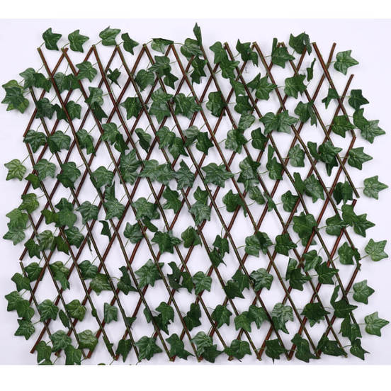 1104020311-3-raztegatelna-ograda-za-izkustveno-ozelenjavane-bryshljan-s-dyrven-plet-1-h-2-m_552x552_pad_478b24840a