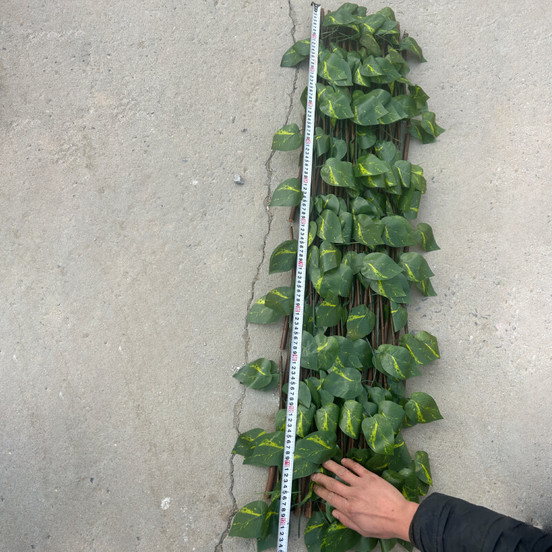 1104020312-2-raztegatelna-ograda-za-izkustveno-ozelenjavane-jabylka-1-h-2m_552x552_pad_478b24840a