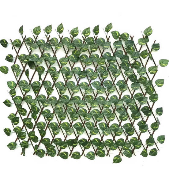 1104020312-3-raztegatelna-ograda-za-izkustveno-ozelenjavane-jabylka-1-h-2m_552x552_pad_478b24840a