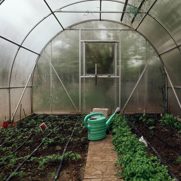 161_600x600_crop_478b24840a