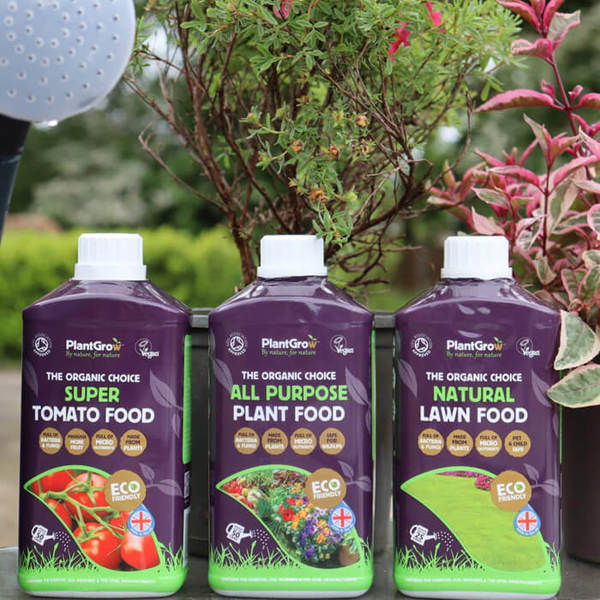 164_600x600_crop_478b24840a