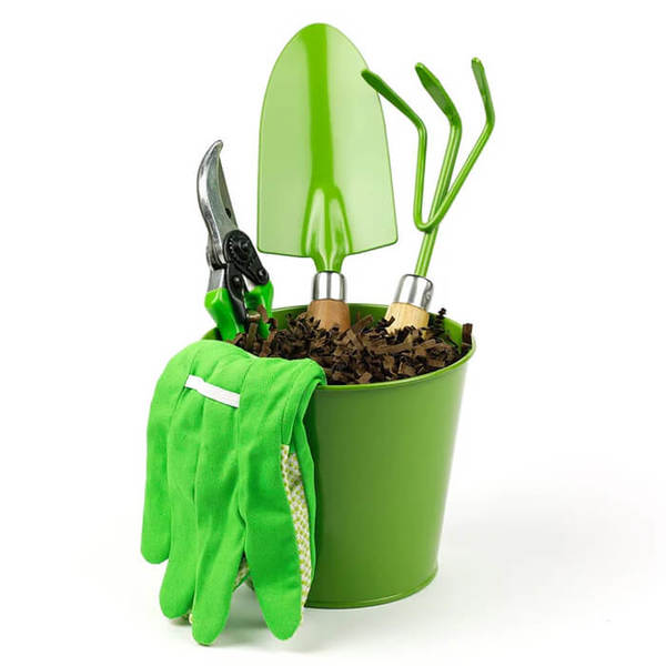 176_600x600_crop_478b24840a