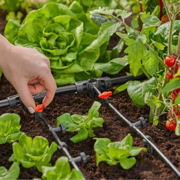 486_600x600_crop_478b24840a