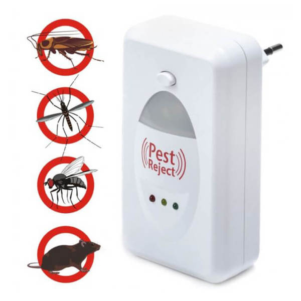 504_600x600_crop_478b24840a