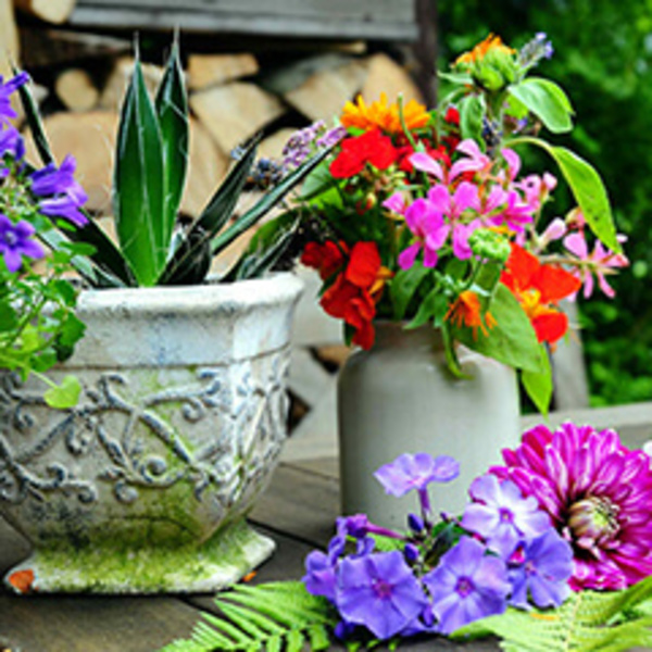 0502_600x600_crop_478b24840a