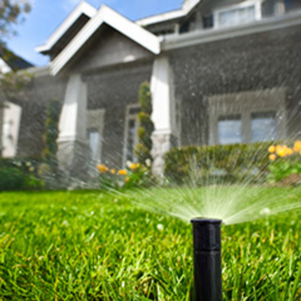 0503_600x600_crop_478b24840a