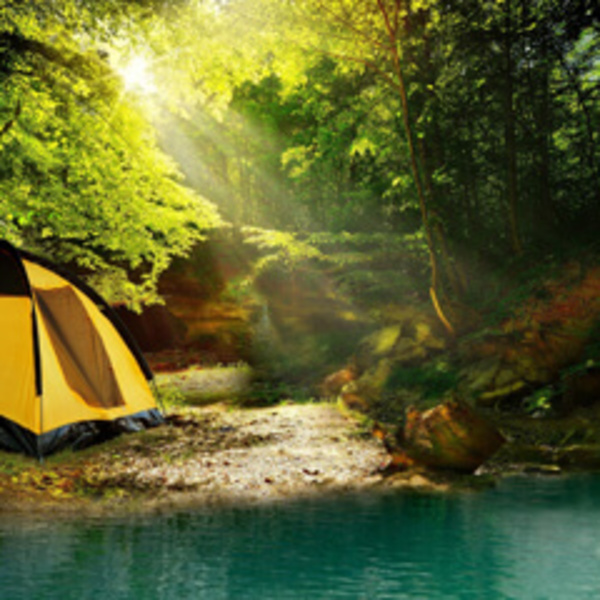 0505_600x600_crop_478b24840a